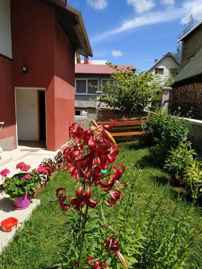 Apartments Bozovic Žabljak Kültér fotó